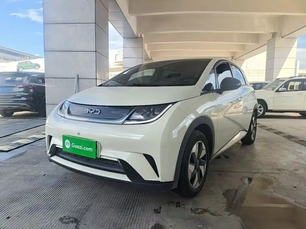 BYD Dolphin 2026 2025 420km Freedom Edition