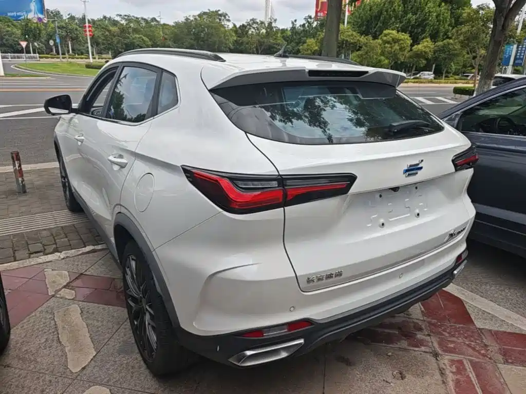 Фото 5 - Changan Oshan Changan Oushang X5