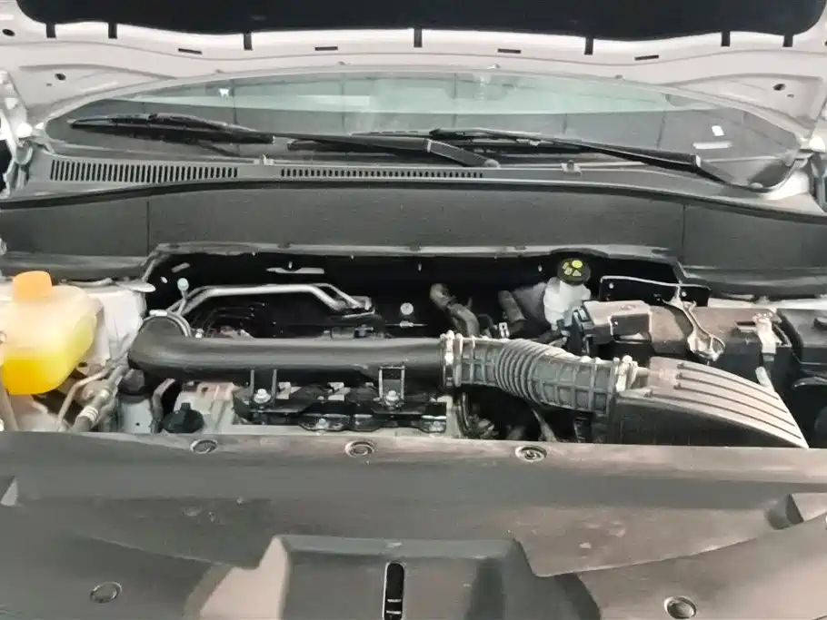 DONGFENG SCENERY 500