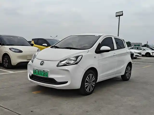 Changan Benben E-Star 2021 National Edition Heartjoy LFP (31.95kWh)
