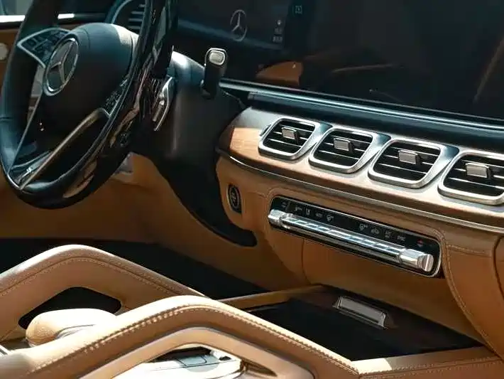 Mercedes-Benz GLS 2025 GLS 450 4MATIC Luxury фото 9