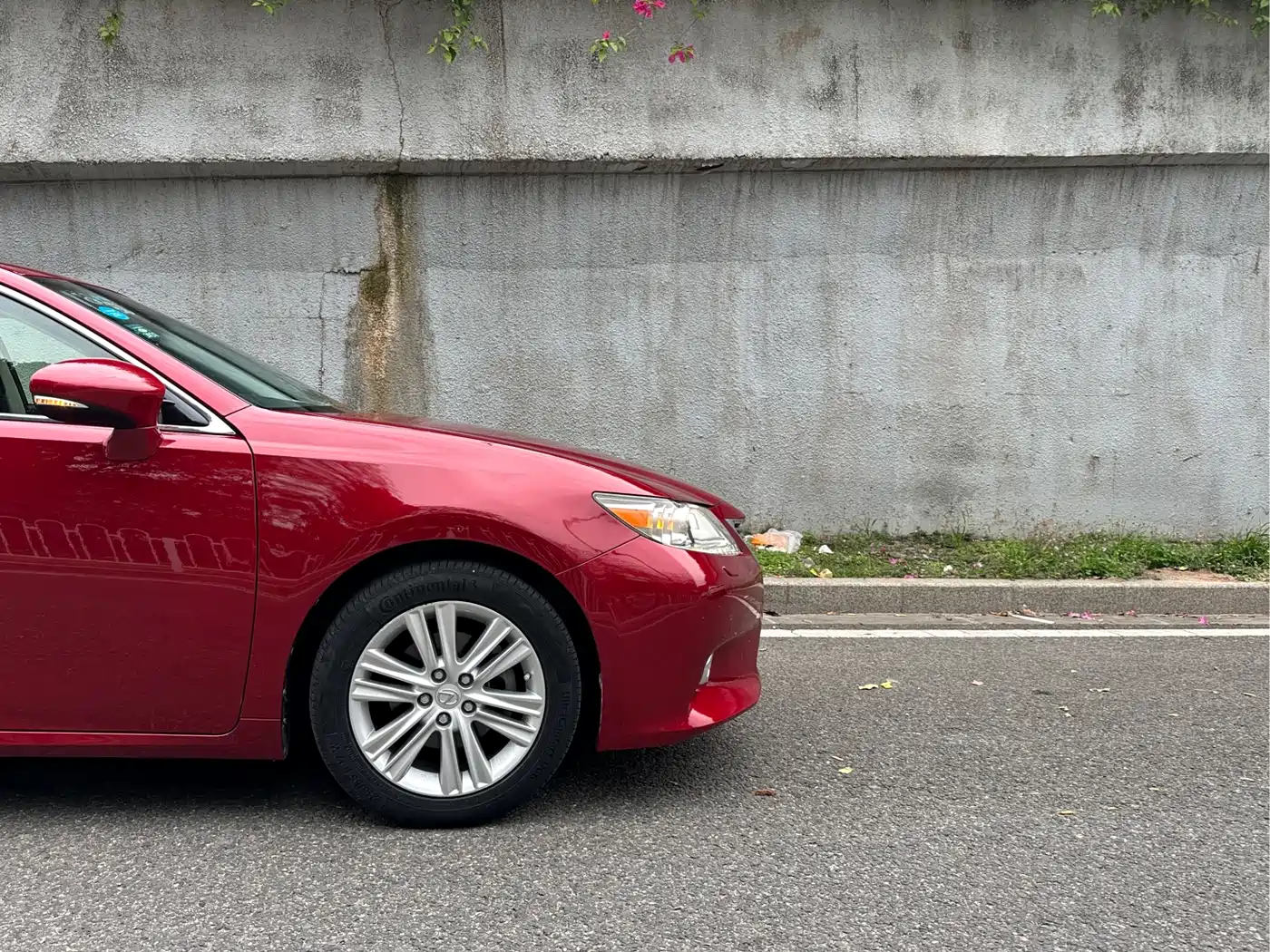 Lexus ES 2014 250 Elegance Edition фото 4