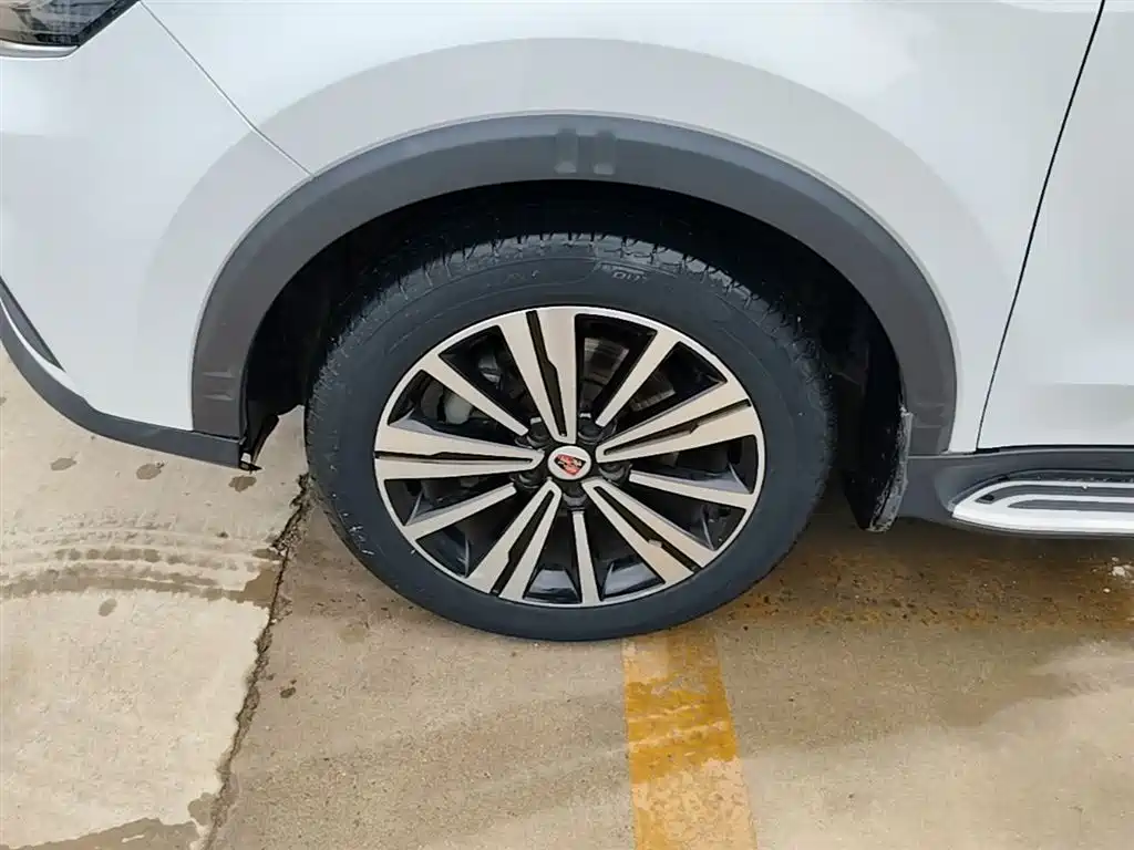 Фото 23 - Roewe RX5