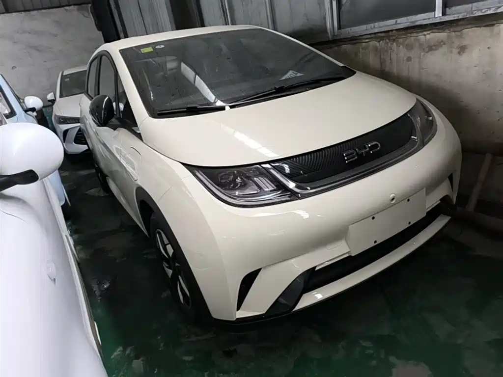 BYD Dolphin 2025 420km Freedom Edition фото 4