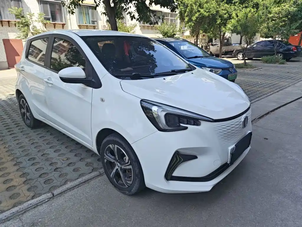 Changan Benben E-Star 2021 2020 Heartbeat Edition (NMC Battery)