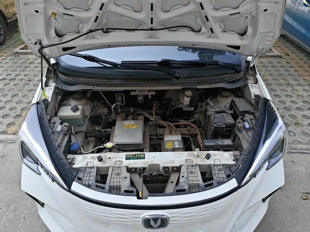 Changan Benben E-Star 2021 2020 Heartbeat Edition (NMC Battery)