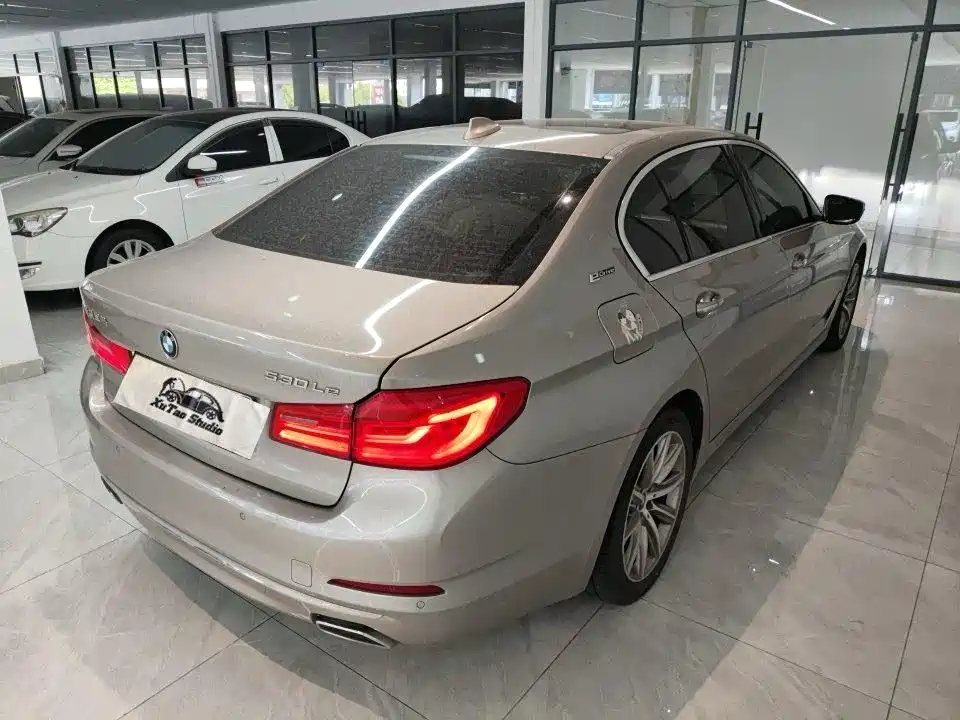 BMW 5 Series New Energy 2019 530Le Luxury Package фото 7