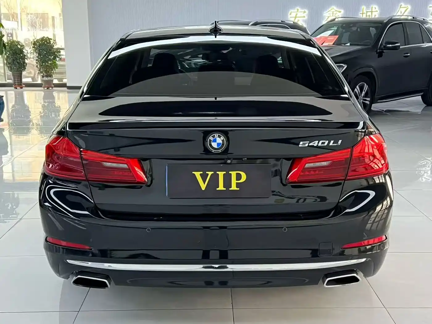 BMW 5 Series 2019 530Li Leading Luxury Package фото 8