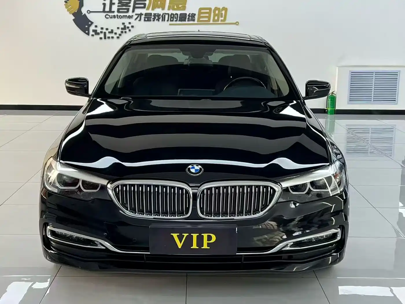 BMW 5 Series 2019 530Li Leading Luxury Package фото 2