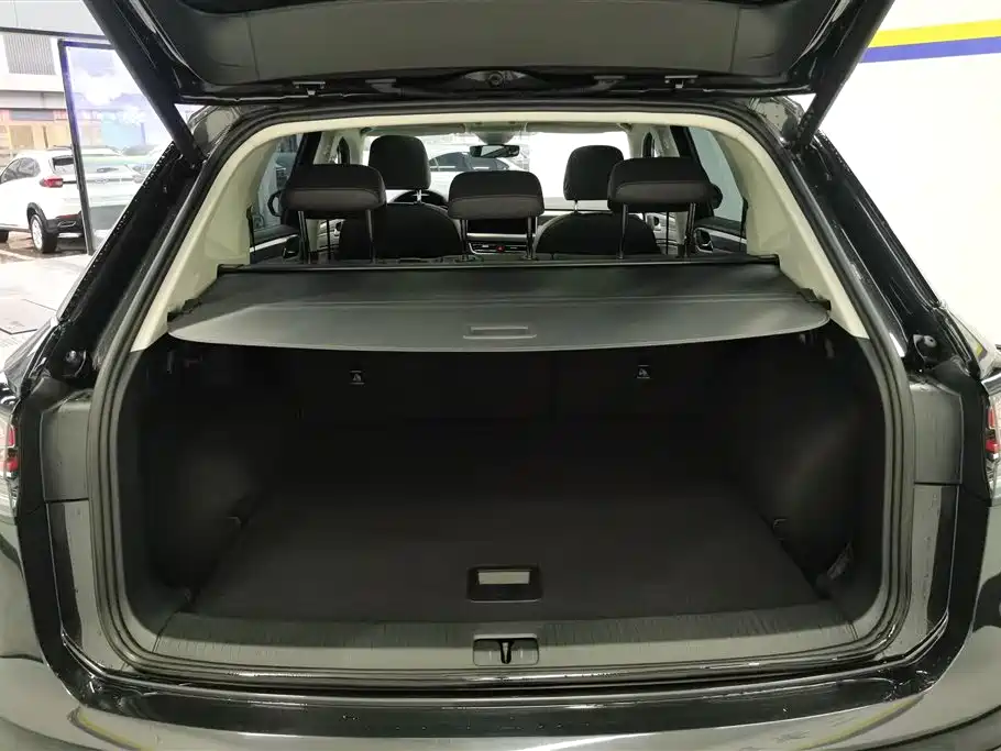 VOLKSWAGEN TANYUE