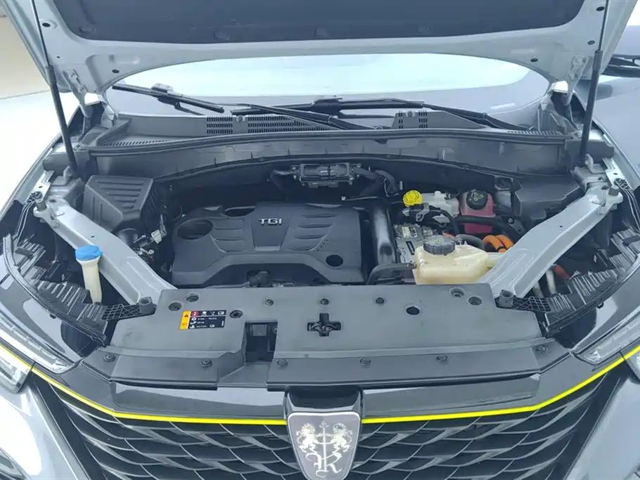 ROEWE RX5 NEW ENERGY