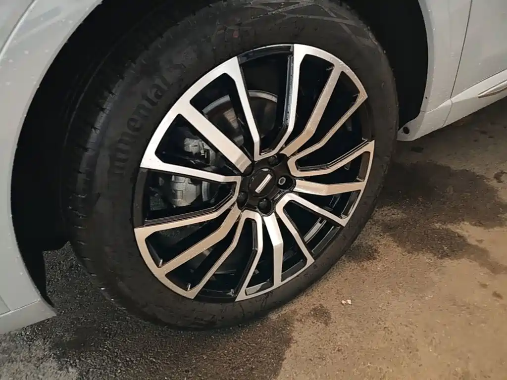 WEY Mocha 2023 2021 2.0T 4WD Premium Edition