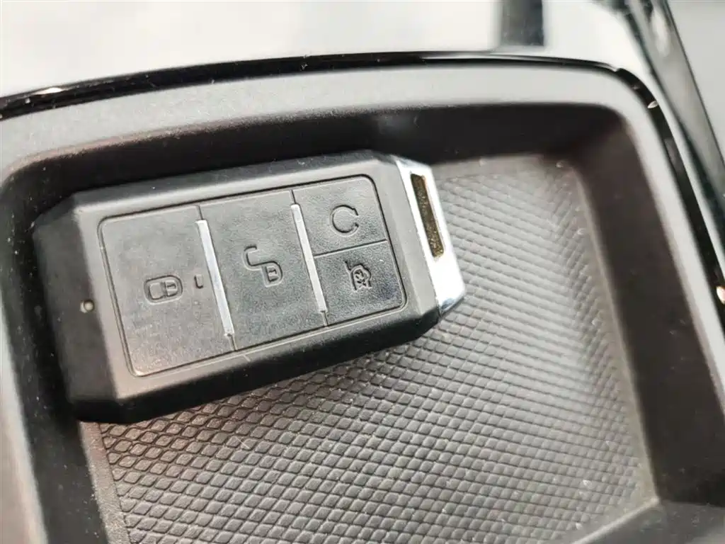 BYD Qin 2019 1.5L Automatic Luxury Edition фото 9