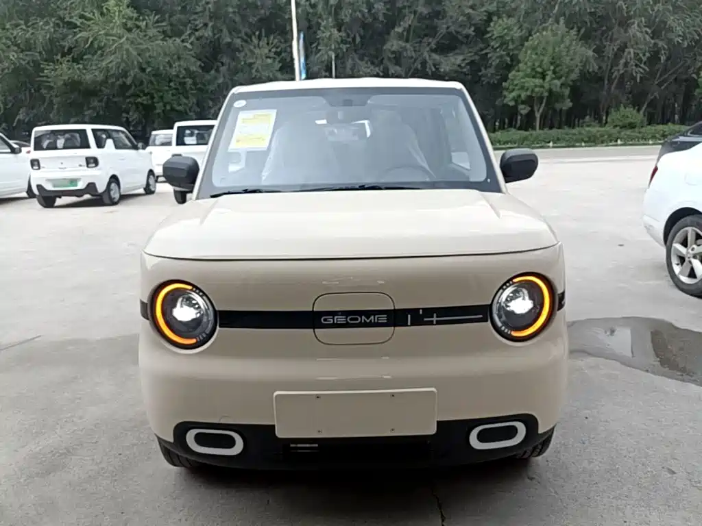 Geely Galaxy Panda 2026 2025 Panda mini 210km Vitality Bear