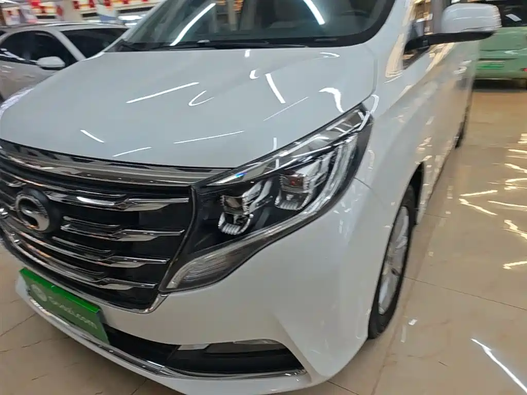 GAC Trumpchi Trumpchi M8 2018 320T Exclusive Edition фото 24
