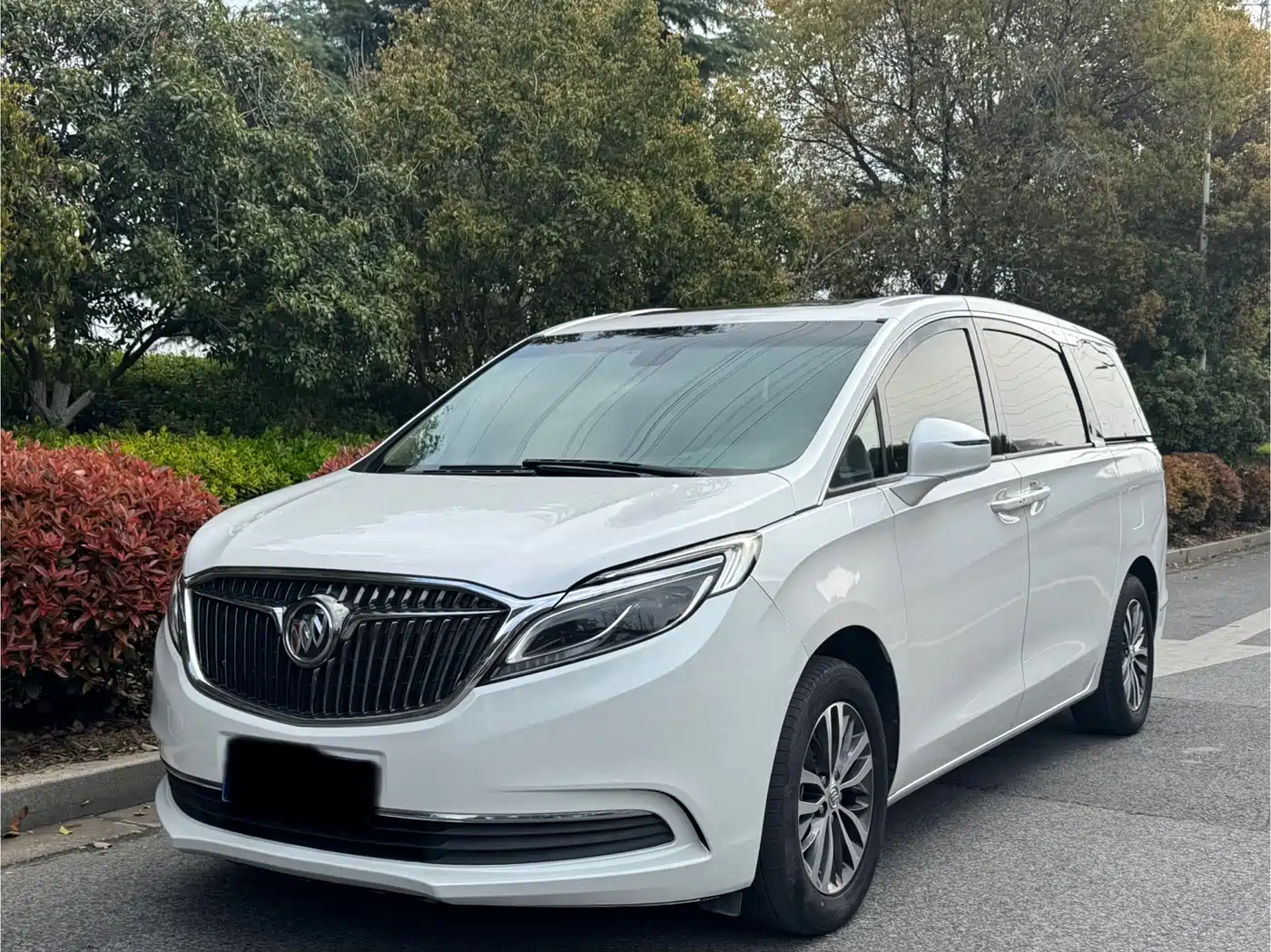 Buick GL8 2018 ES 28T Luxury Type China VI