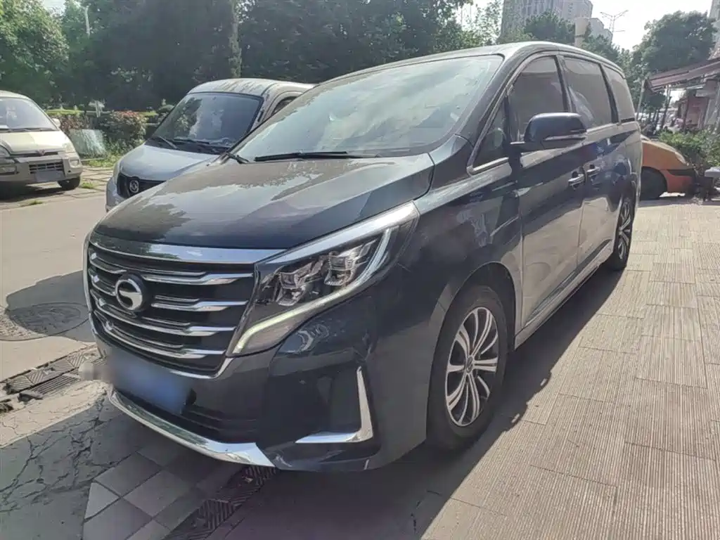 GAC Trumpchi Trumpchi M8 2020 Pilot 390T Prestige Edition фото 2