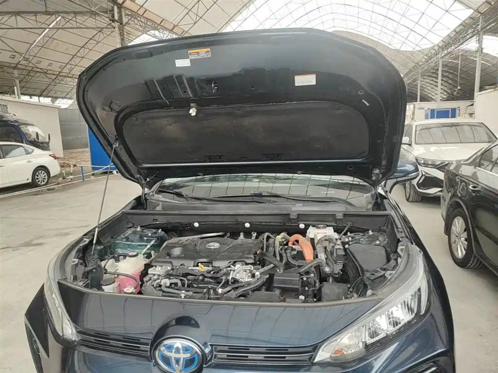 Toyota Wildlander 2020 Hybrid 2.5L E-CVT AWD Luxury Edition фото 20