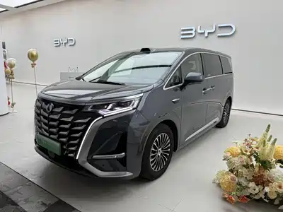 Denza D9