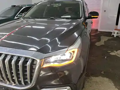 Hongqi HS7