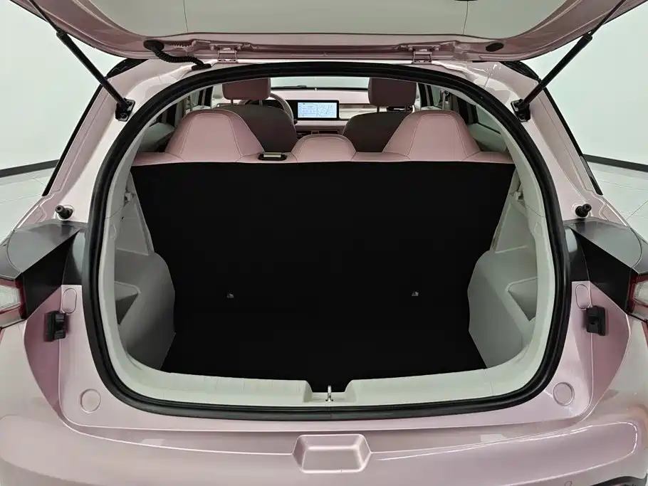 Фото 4 - Geely Geometry E Firefly