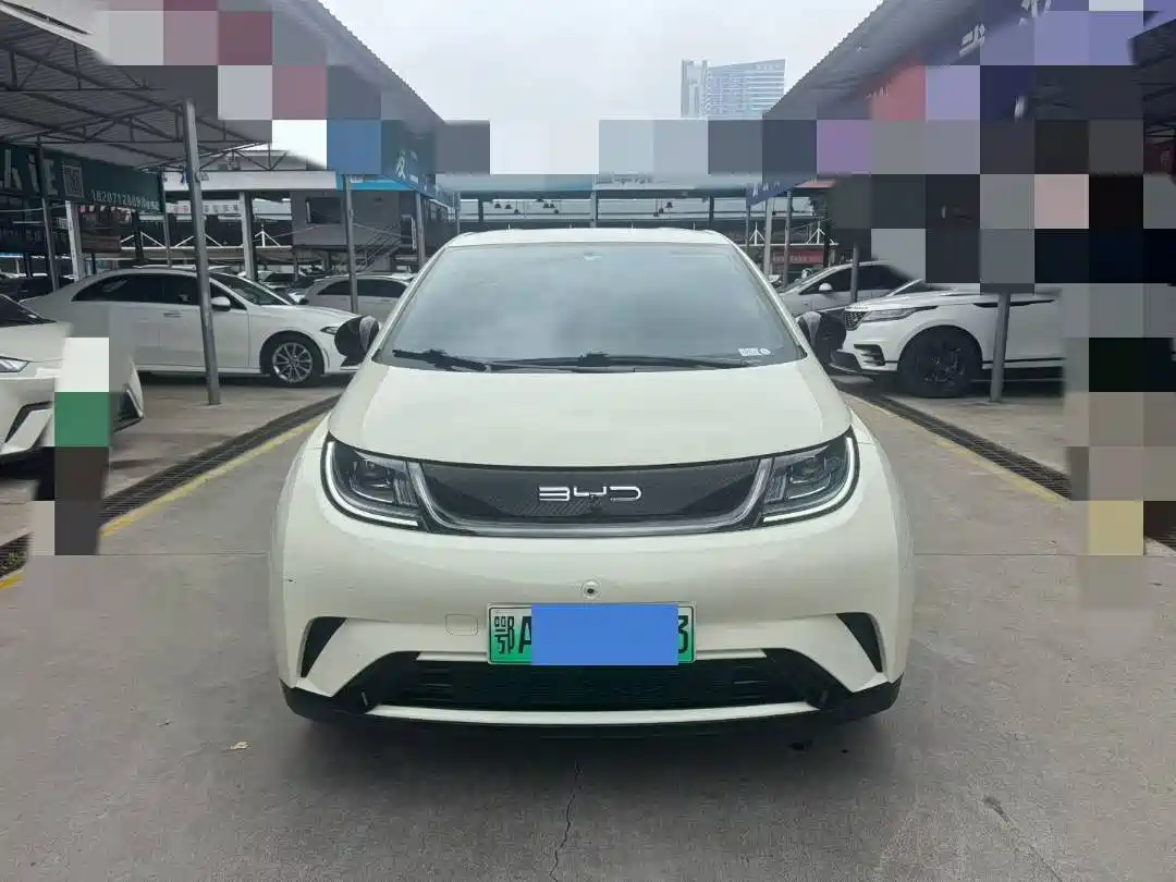Фото 2 - BYD Dolphin