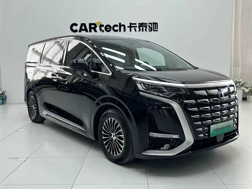 Denza D9 2024 DM-i 980 AWD Prestige фото 3