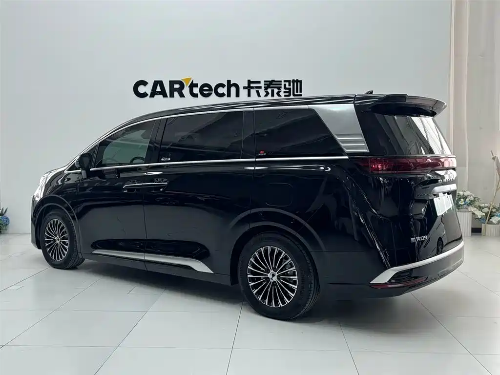 Denza D9 2024 DM-i 980 AWD Prestige фото 10