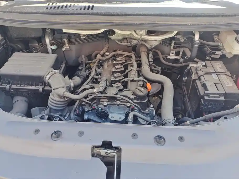 DONGFENG POPULAR LINGZHI
