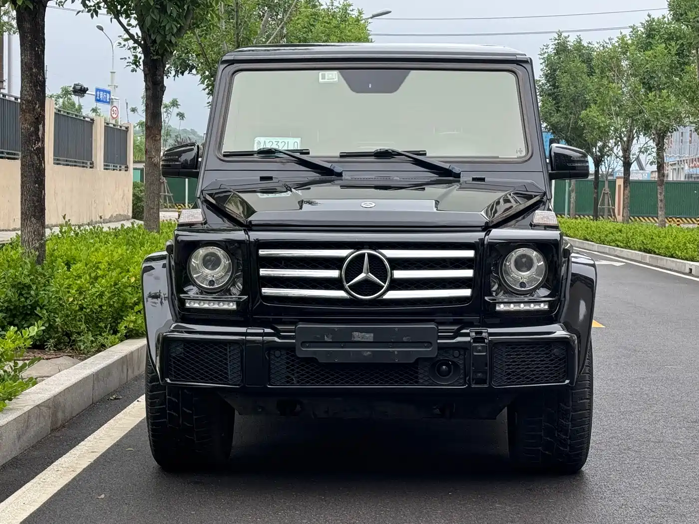 Mercedes-Benz G-Class 2018 G 500 designo Masterpiece Collector's Edition фото 2