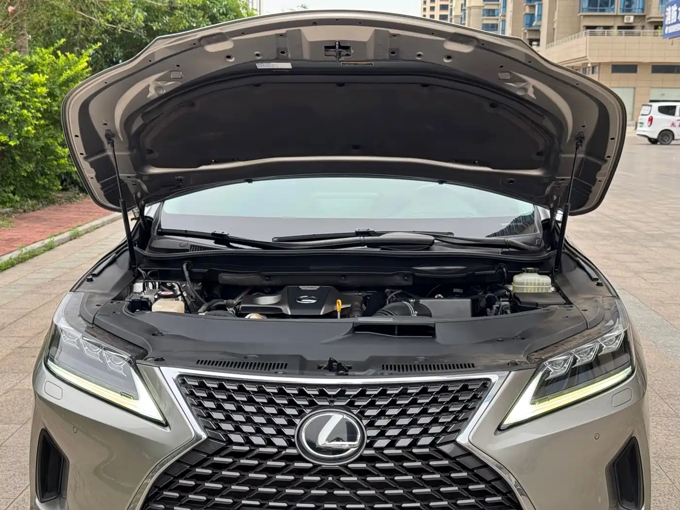 Lexus RX 2020 300 AWD Elegance Edition China V фото 21