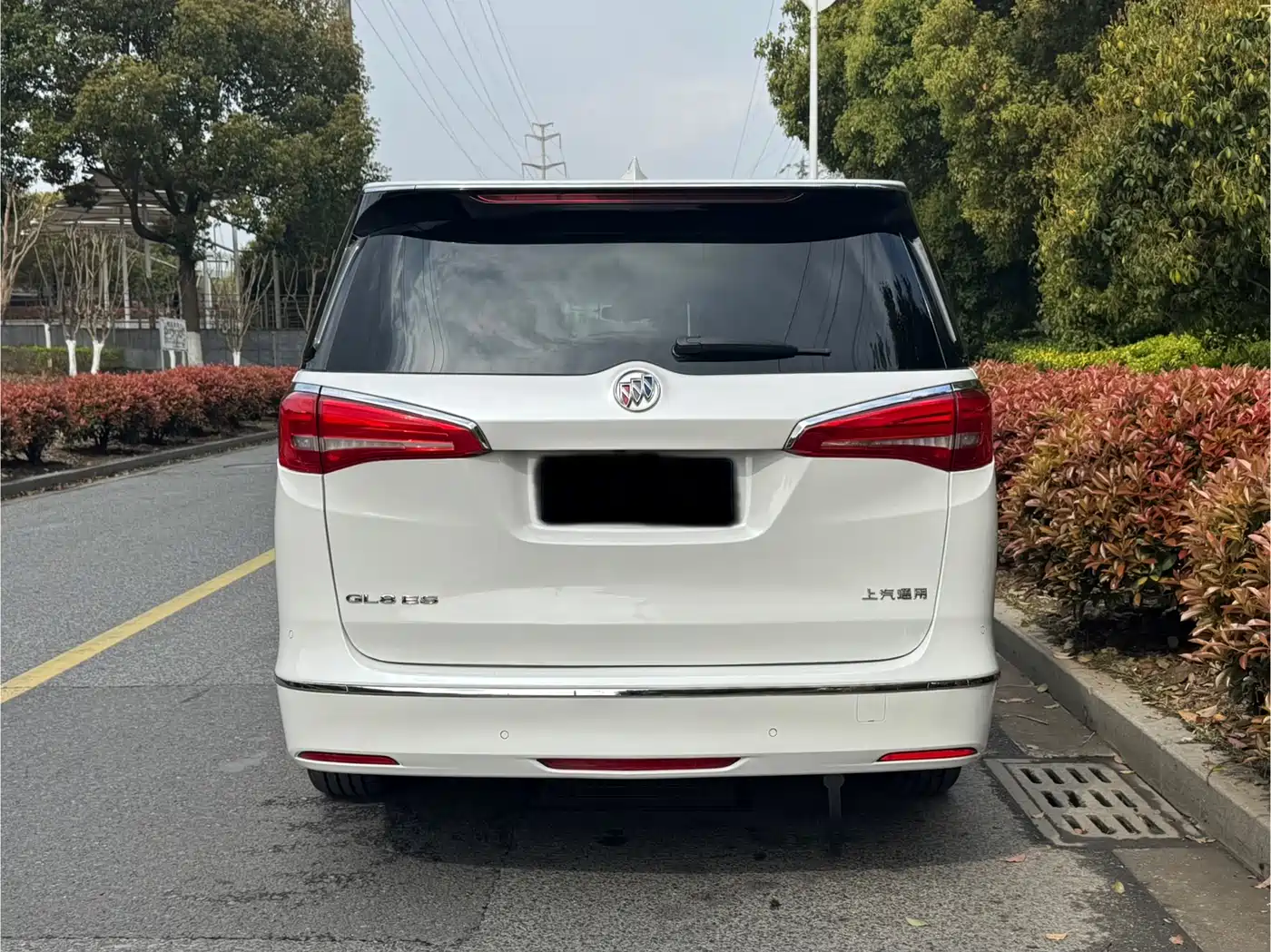 Buick GL8 2018 ES 28T Luxury Type China VI фото 5