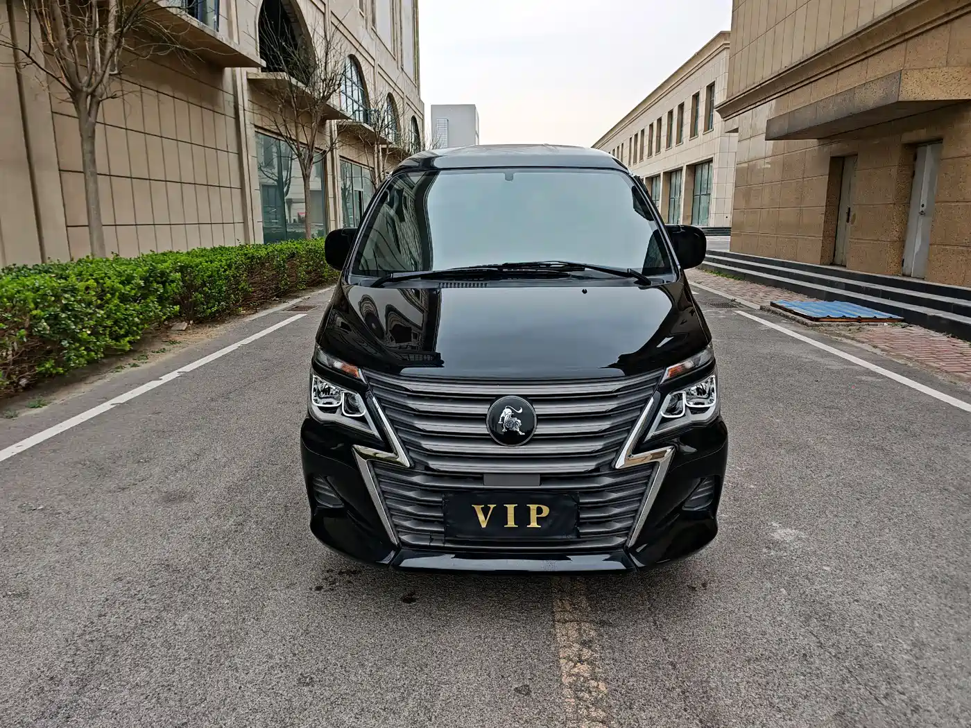 DONGFENG LINGZHI