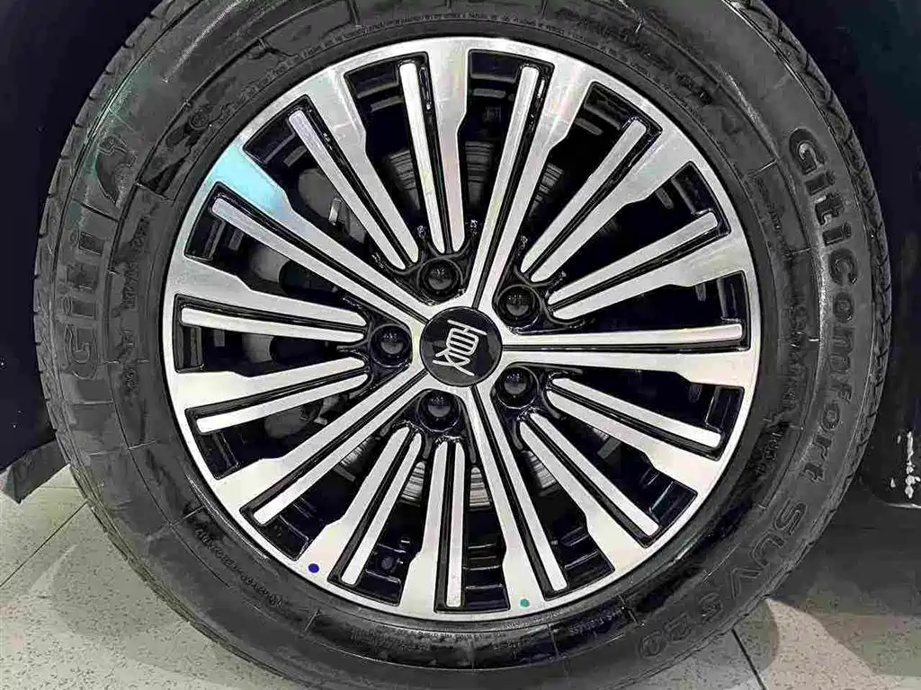 Фото 27 - BYD Xia