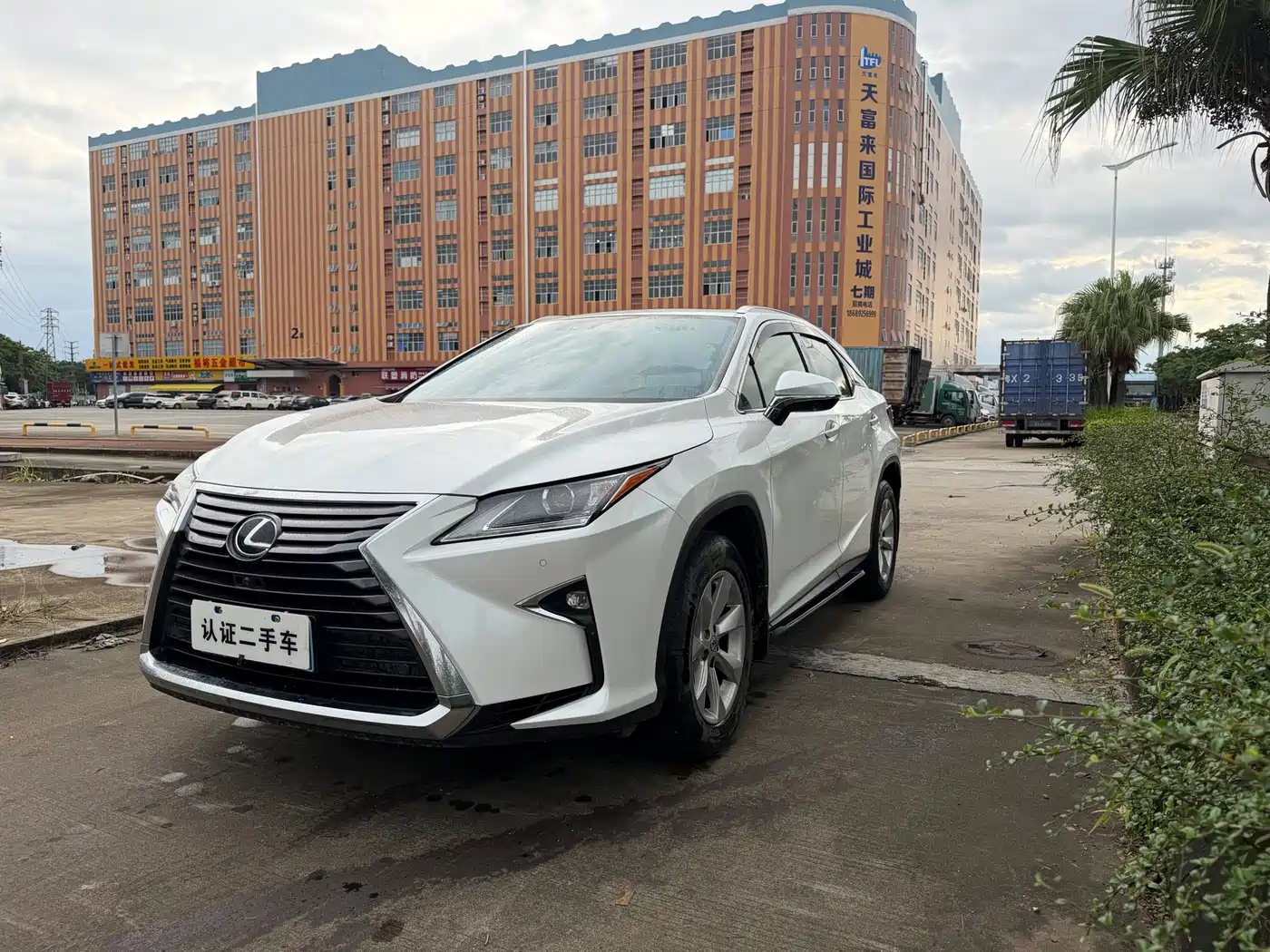 Lexus RX 2016 2016 300 2WD Elite Edition (China V)