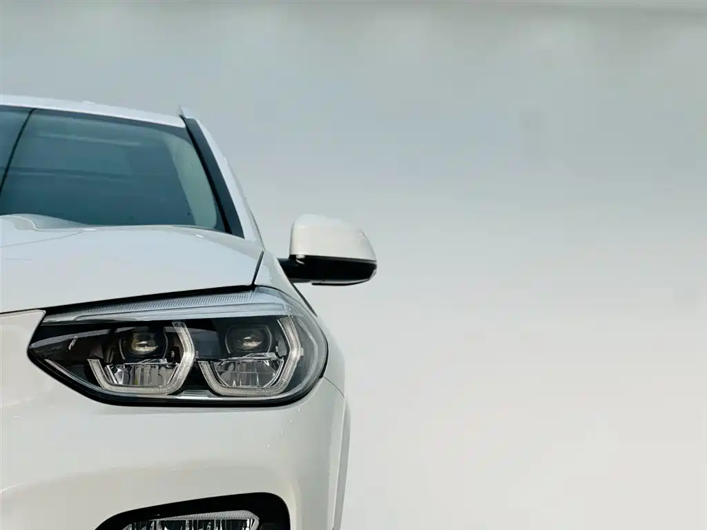 BMW X3 2018 xDrive25i M Sport Package China V фото 10