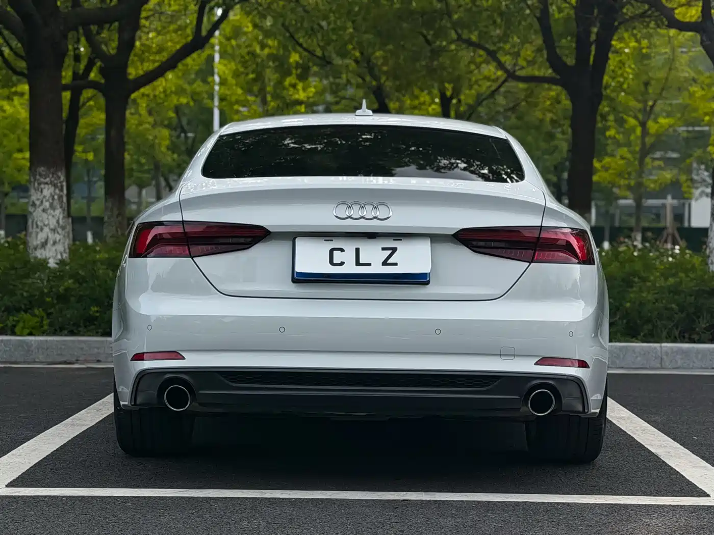 Фото 5 - Audi A5 (Import)