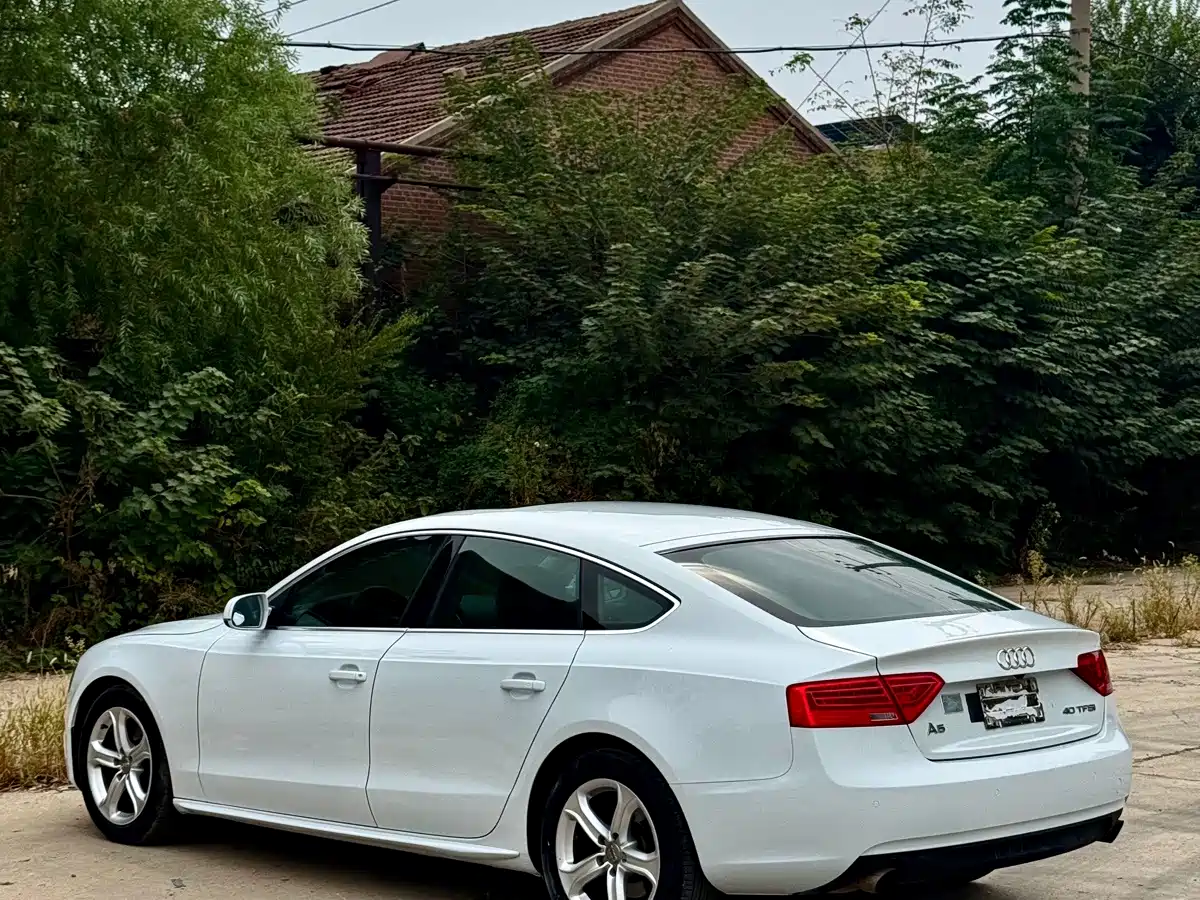 Фото 11 - Audi A5 (Import)