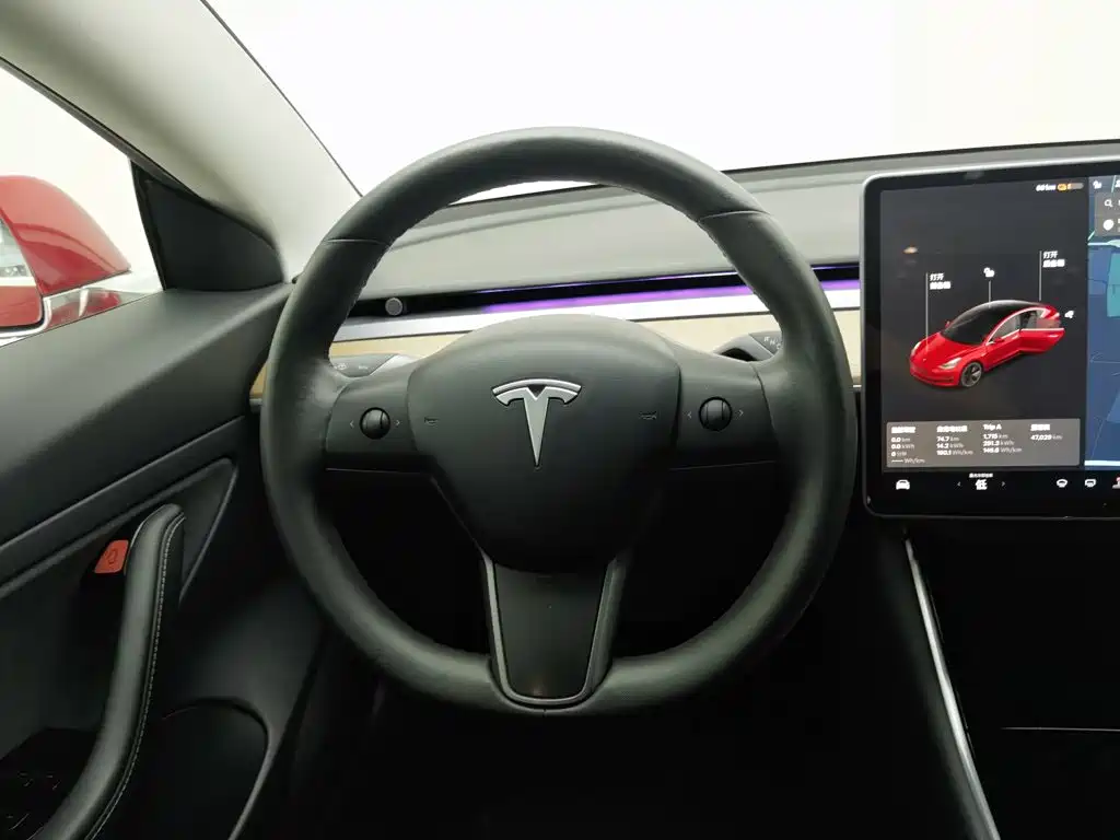 Tesla Model 3 2020 2020 Standard Range Rear-Wheel Drive Upgrade