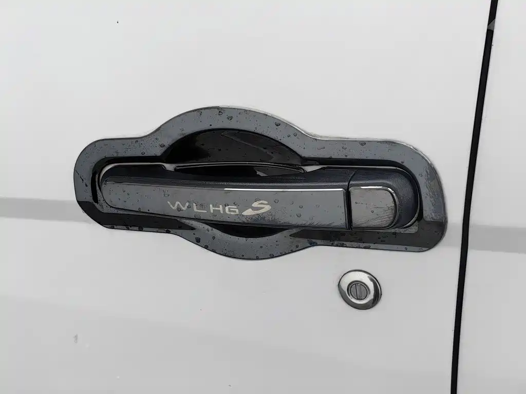 Wuling Motors Wuling Hongguang 2024 2021 1.5L Facelift S Basic Hydraulic Power Steering LAR