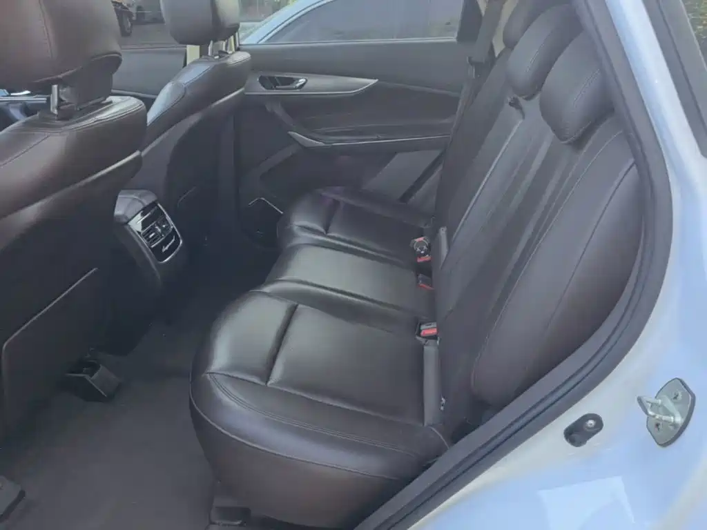 Leopaard Mattu 2019 2018 1.6T GDI DCT Premium Edition