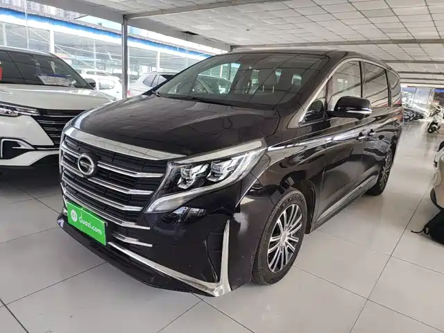 Trumpchi M8 Elegance Series, 390T, Максимум