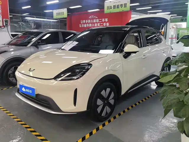  Wuling Motors Wuling Bingo S 2025 Model 325km Premium Edition