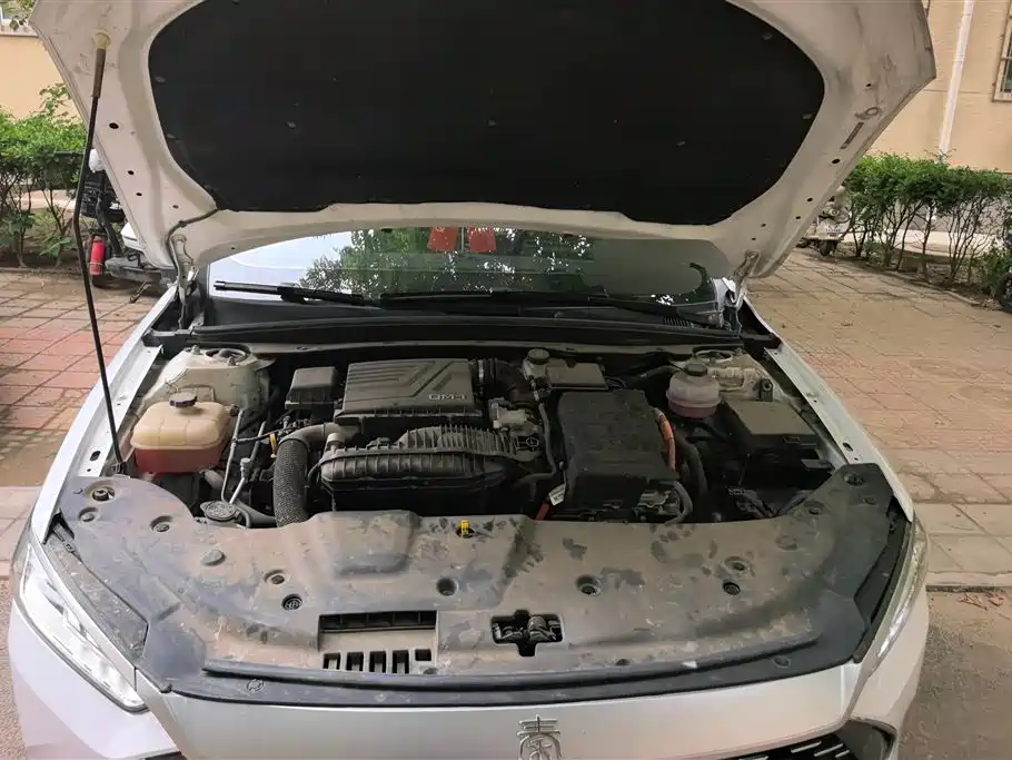 BYD Qin PLUS 2023 Champion Edition DM-i 55KM Leading фото 10
