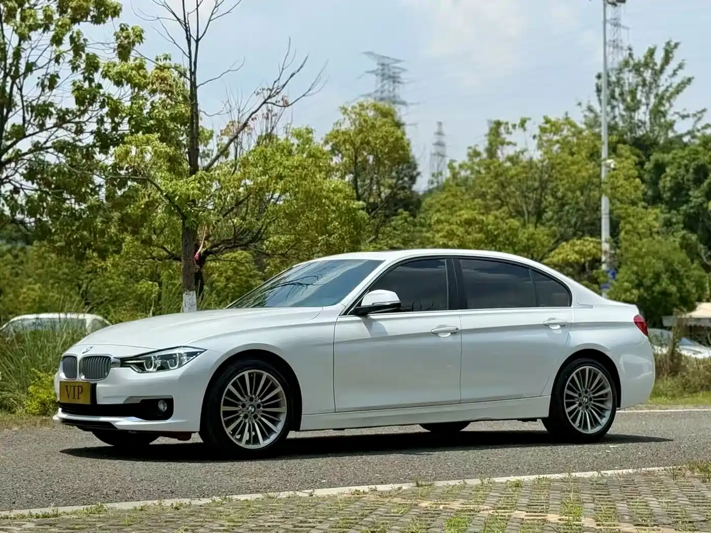 BMW 3 Series 2019 320Li Fashion Type