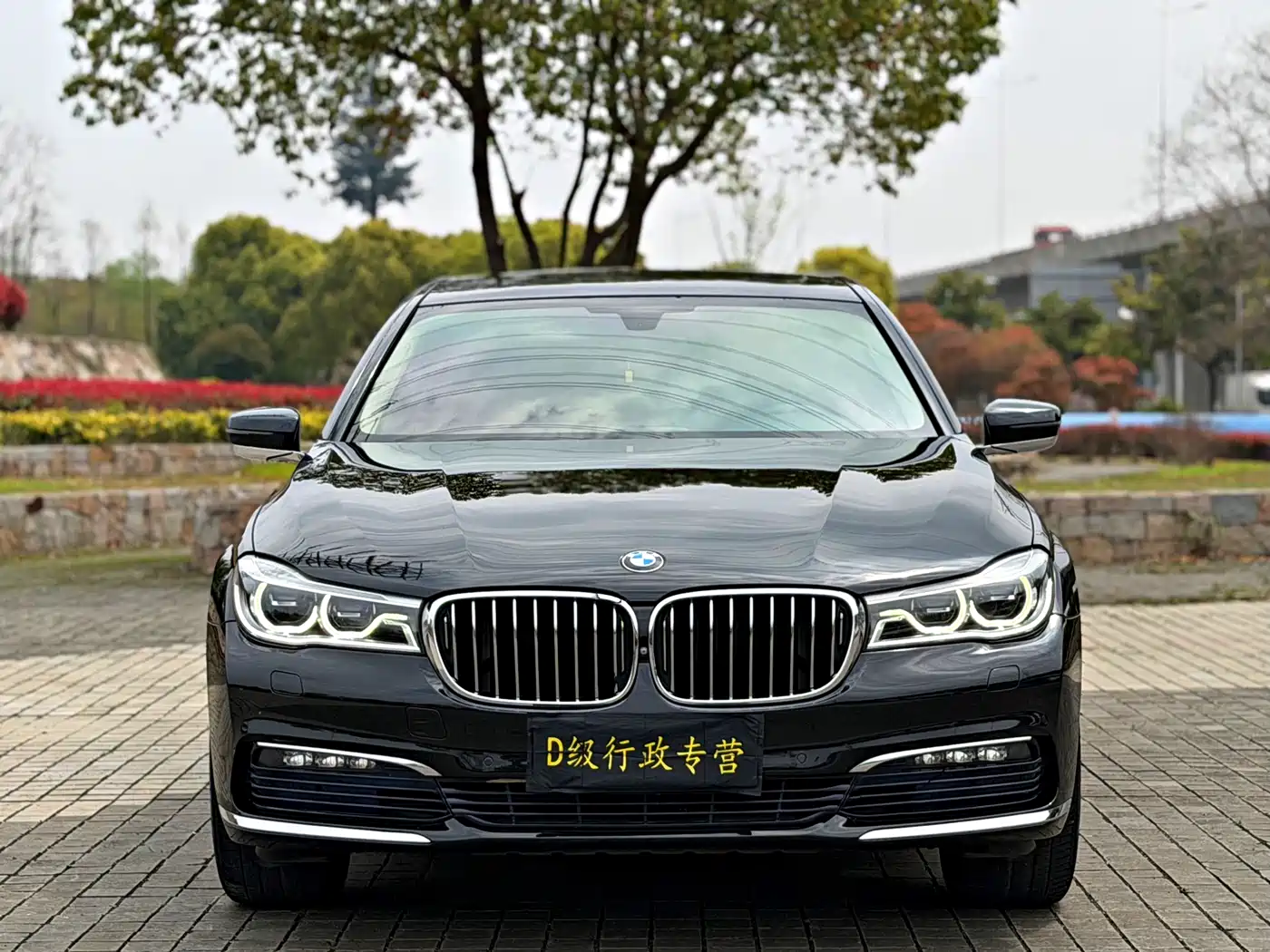 BMW 7 Series 2016 730Li Luxury фото 2