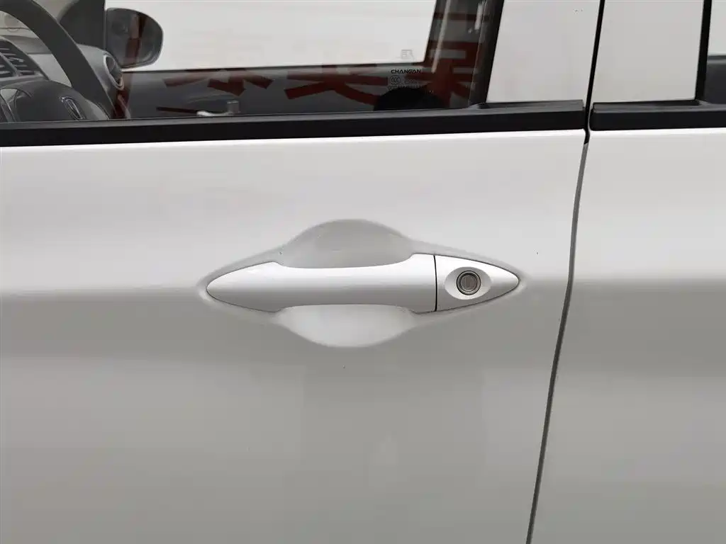 Changan Benben E-Star 2022 2021 National Edition Heartjoy LFP (31.86kWh)