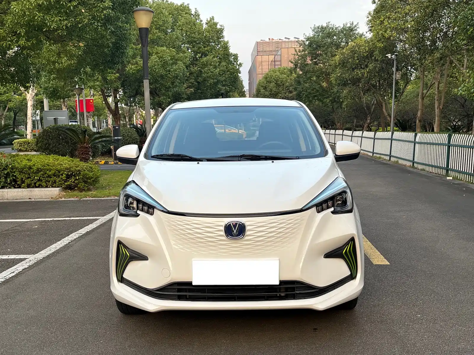 صورة 2 - Changan Benben E-Star