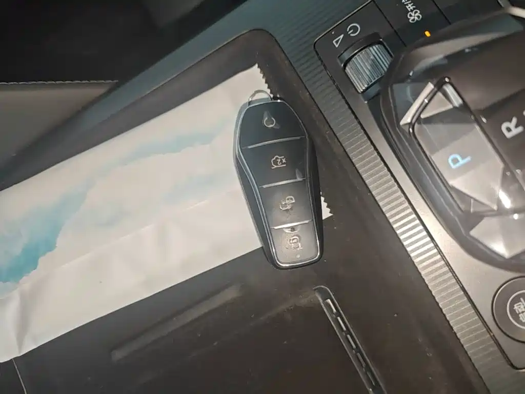 BYD Song L DM-i 2025 2025 Smart Drive 160km Premium