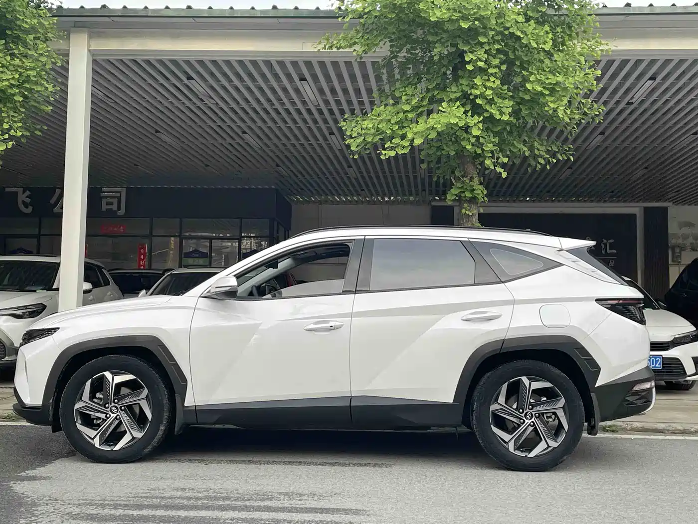 Hyundai Tucson 2023 Tucson L 1.5T Automatic 2WD LUX Premium Edition фото 4